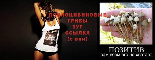 apvp Балабаново