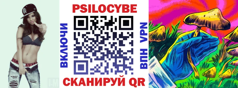 сколько стоит  Георгиевск  блэк спрут ТОР  Псилоцибиновые грибы мицелий 
